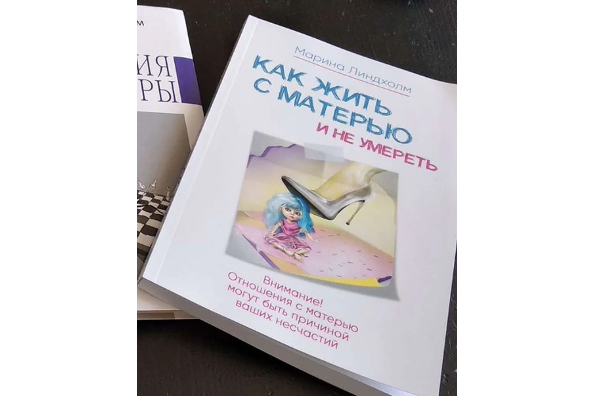 Как жить с матерью и не умереть (Марина Линдхолм), фото 1 из 1.