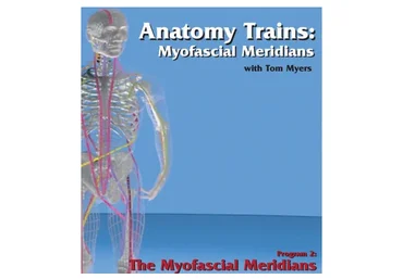 Миофасциальные меридианы (Том Майерс)