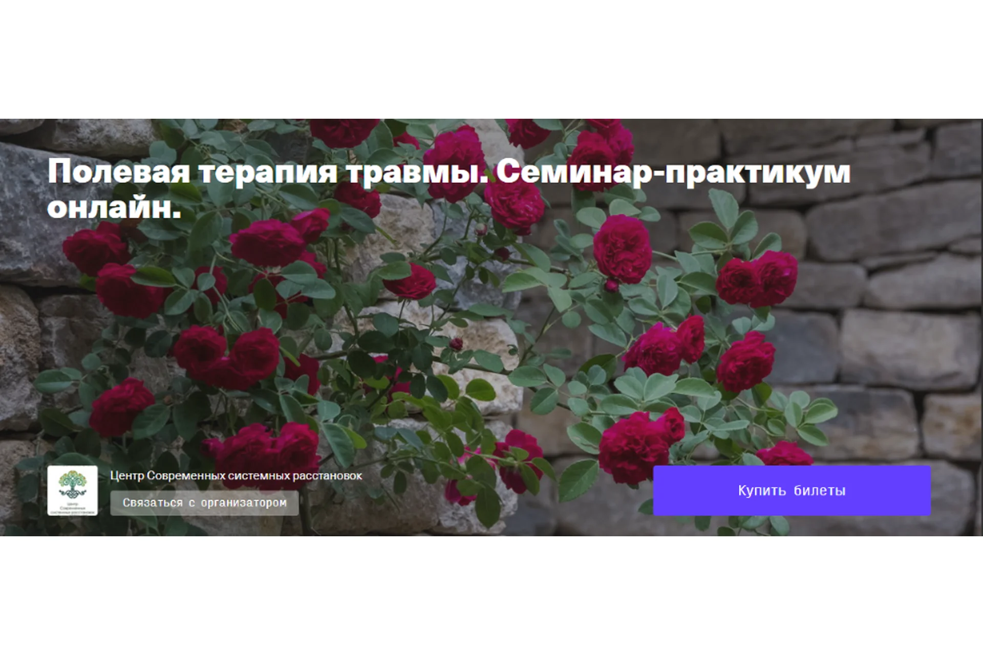 Полевая терапия травмы. Семинар-практикум онлайн (Елена Веселаго), фото 1 из 1.