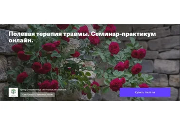 Полевая терапия травмы. Семинар-практикум онлайн (Елена Веселаго)