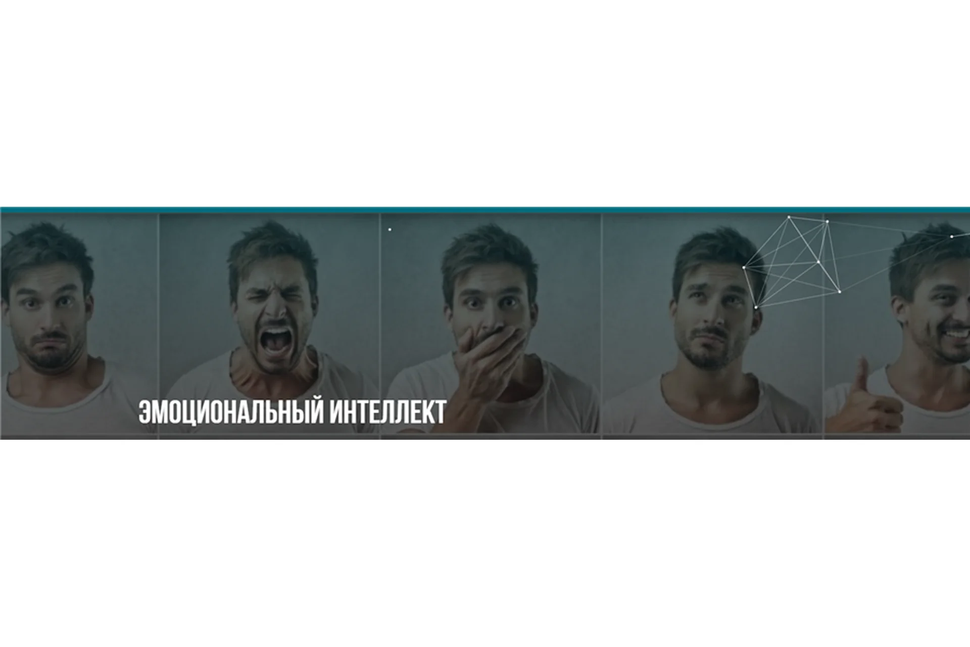 [Институт современного НЛП] Эмоциональный интеллект (Михаил Пелехатый, Евгений Спирица), фото 1 из 1.