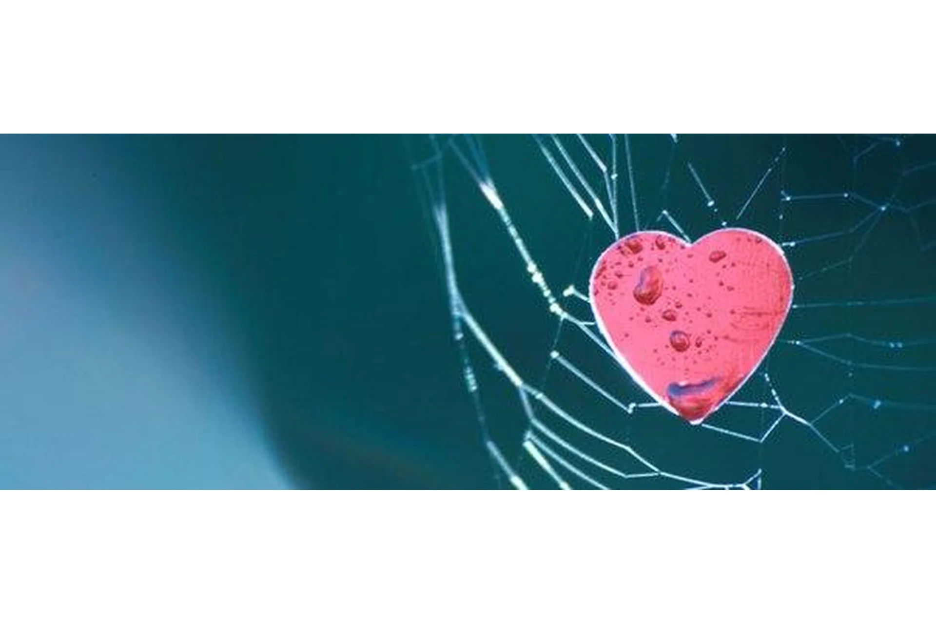 Как убрать зависимость от любви, от человека (Трофимов), фото 1 из 1.