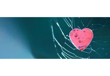 Как убрать зависимость от любви, от человека (Трофимов)