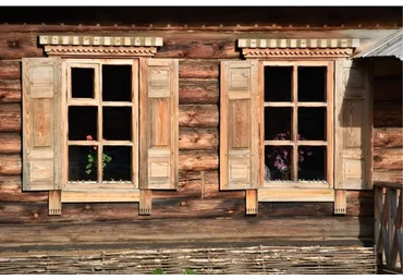 Кто в домике живет. Полевая терапия вопросов недвижимости (Елена Веселаго)