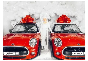 Всегда сочиняй мечты. Декабрь 2020 (Елена Блиновская)