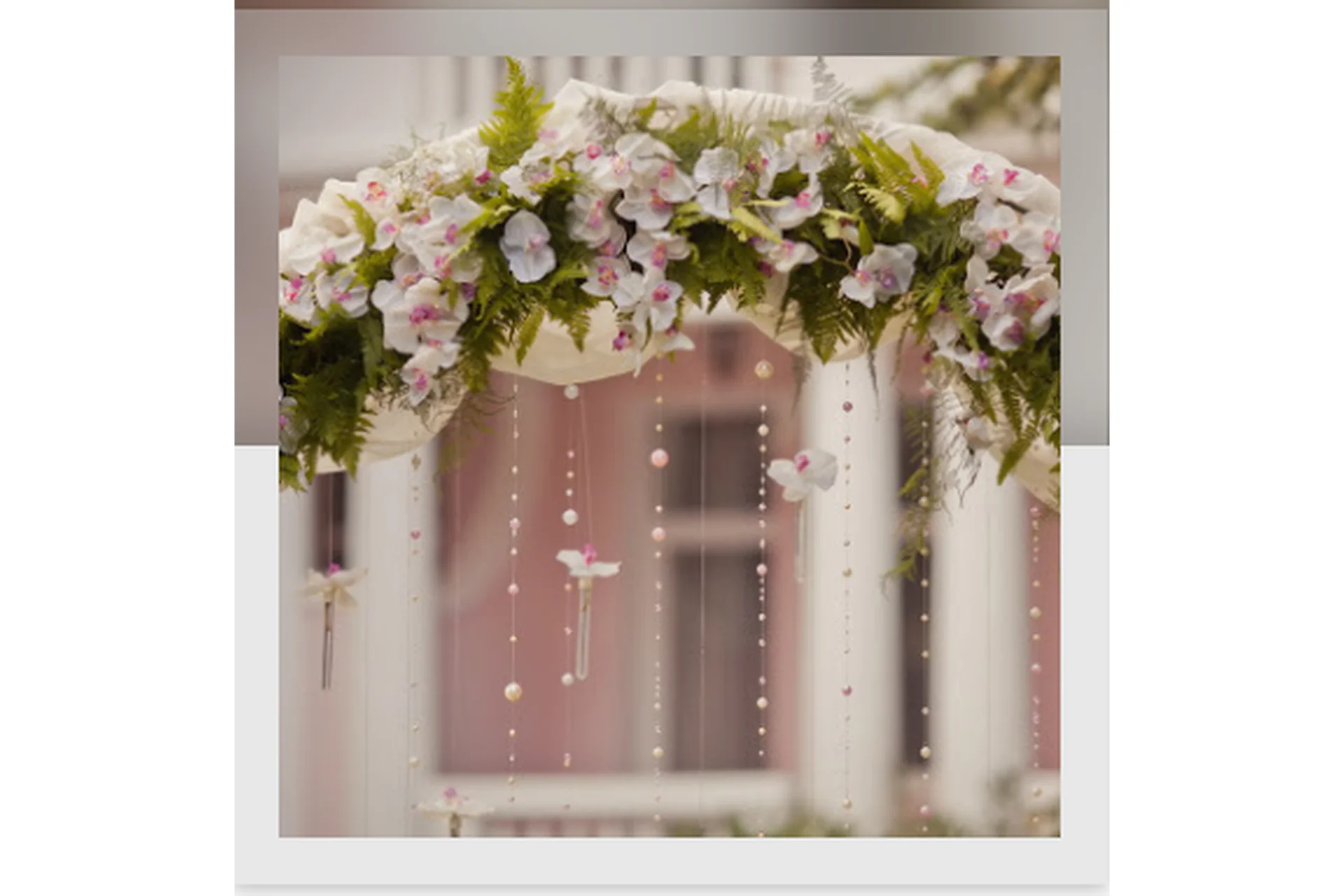 [Mitra-Varuna School] Накшатра Вишакха (Анна Ласточкина), фото 1 из 1.