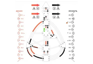 Механика твоего тела. Как ты функционируешь? Введение в «Дизайн Человека» (Роман Кудрявцев)