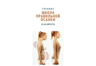 Школa прaвильной осaнки (Дмитрий Спицын)