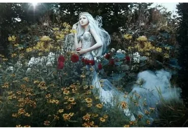 [fineartactions.com] Color Collections - Full Bundle, 2018