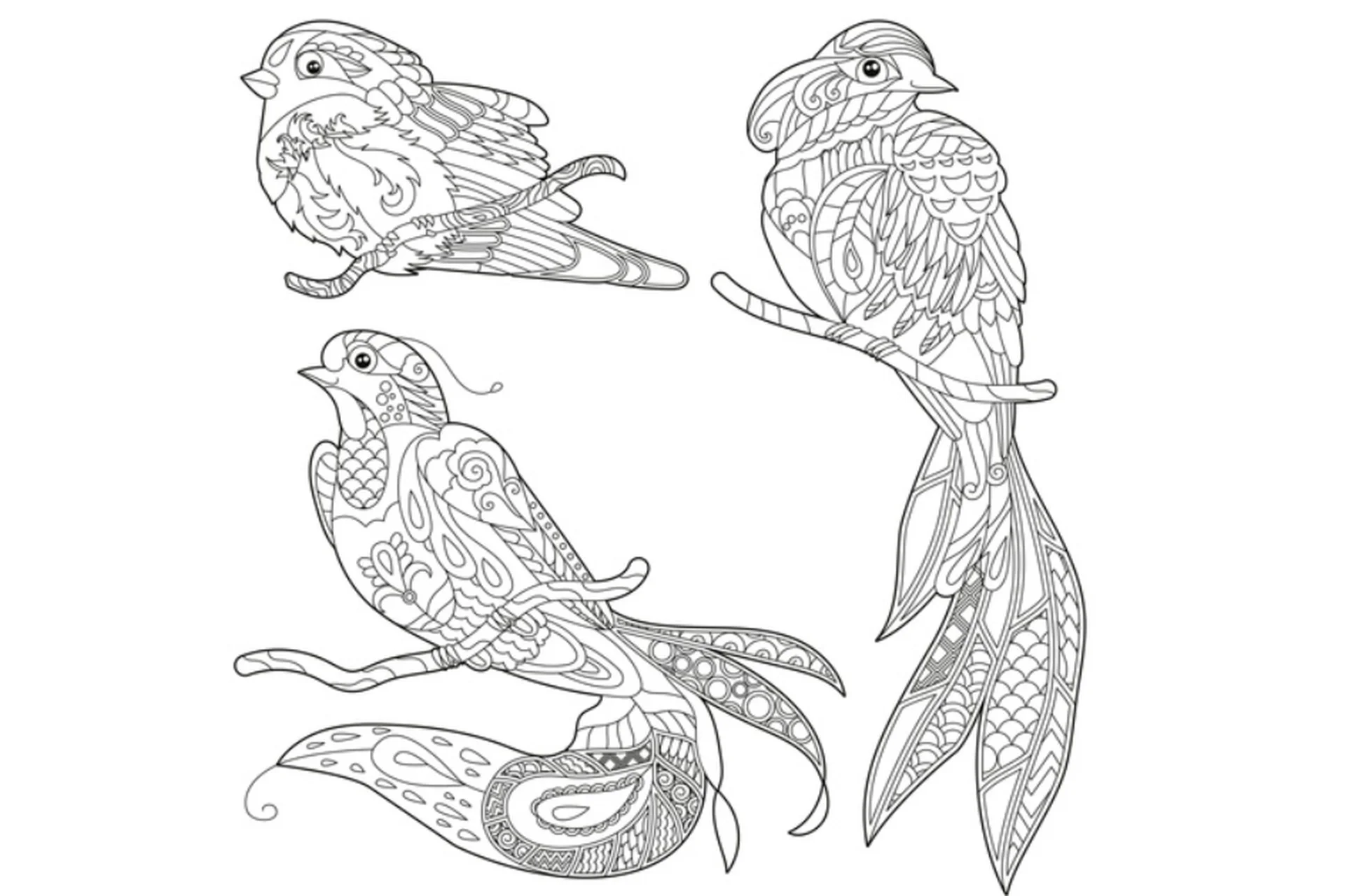 Coloring Book Pro (Анна Тюхменёва), фото 1 из 1.