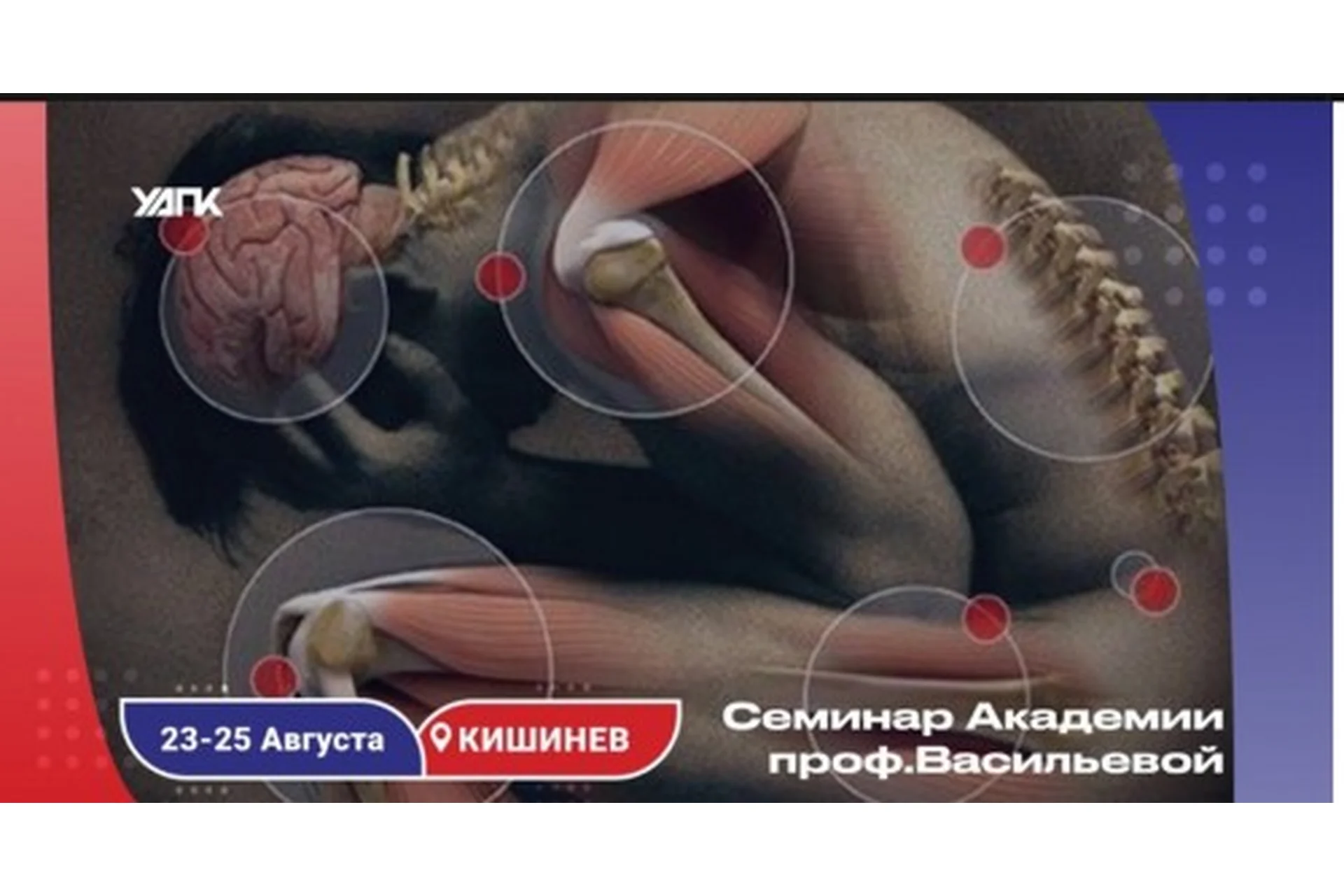 [УАПК] Вегетативная нервная система (Николай Волынкин), фото 1 из 1.