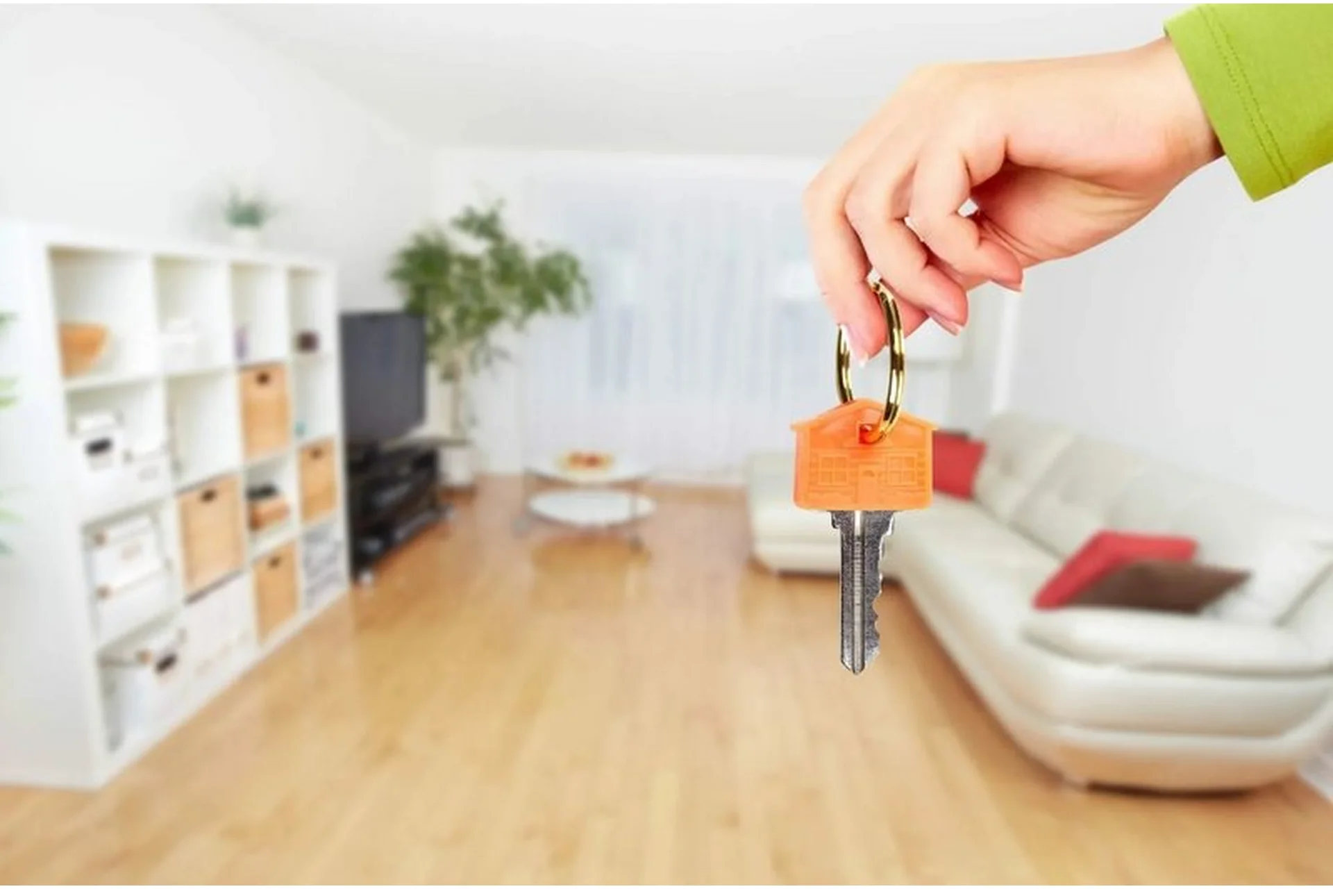 Подготовка недвижимости к аренде или продаже (Анна Моисеева), фото 1 из 1.