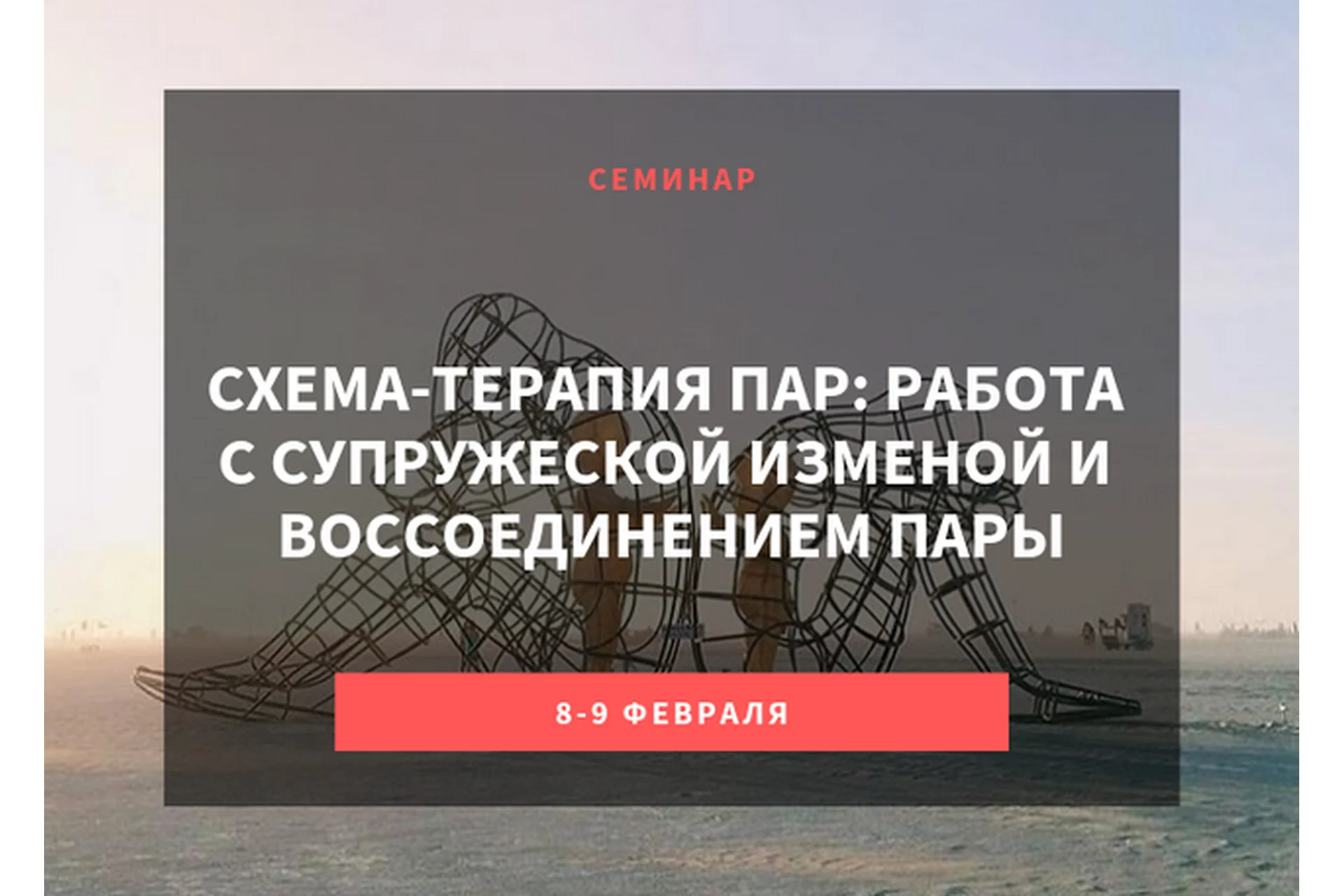 Схема-терапия пар: работа с супружеской изменой и воссоединением пары (Экхард Редигер), фото 1 из 1.