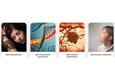 Трансформация ДНК. Весь курс  (Ольга Коробейникова)