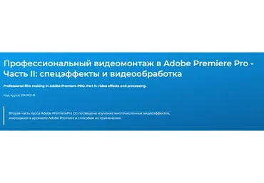 Профессиональный монтаж в Adobe Premiere. Часть II – работа с видеоэффектами (Дмитрий Эпов)