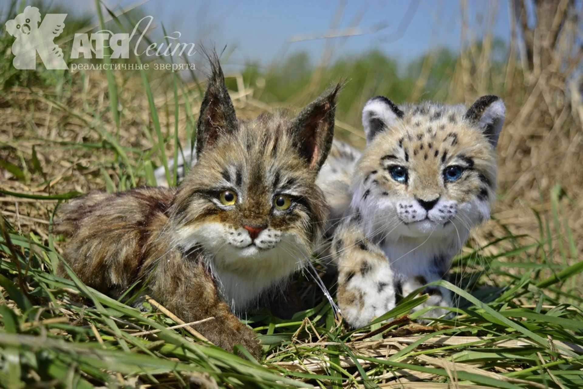 Реалистичный Рысенок (Катя Лейт), фото 1 из 1.