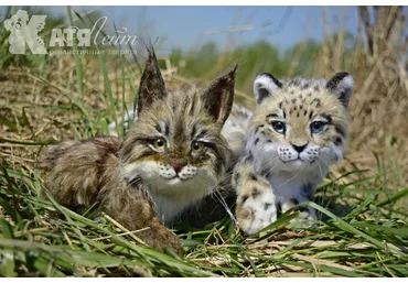 Реалистичный Рысенок (Катя Лейт)