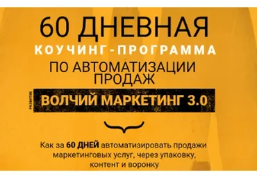 Волчий маркетинг 3.0 (Илья Волк)