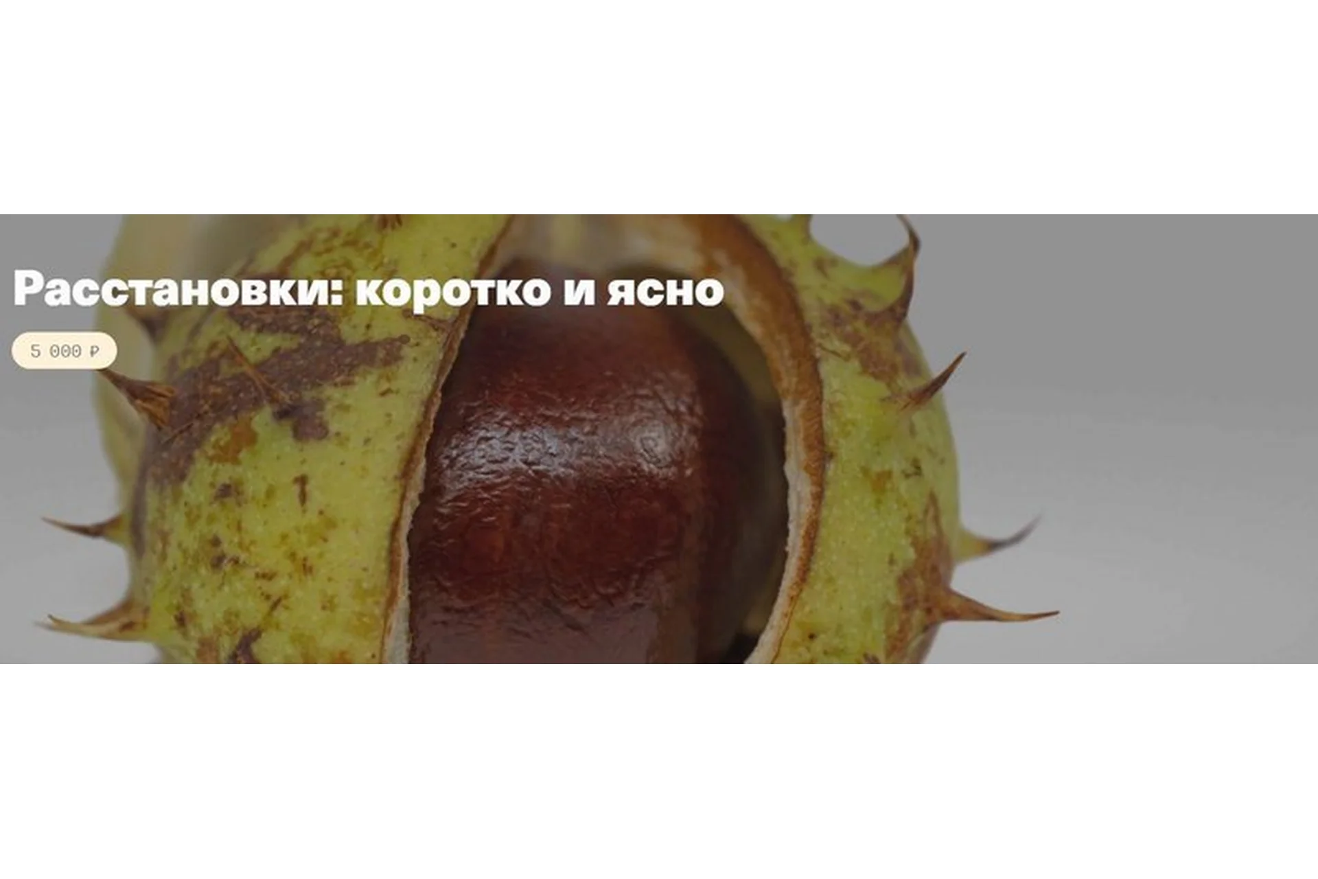 [Timepad] Расстановки: коротко и ясно (Елена Веселаго), фото 1 из 1.