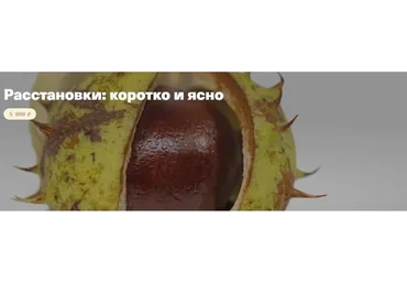 [Timepad] Расстановки: коротко и ясно (Елена Веселаго)