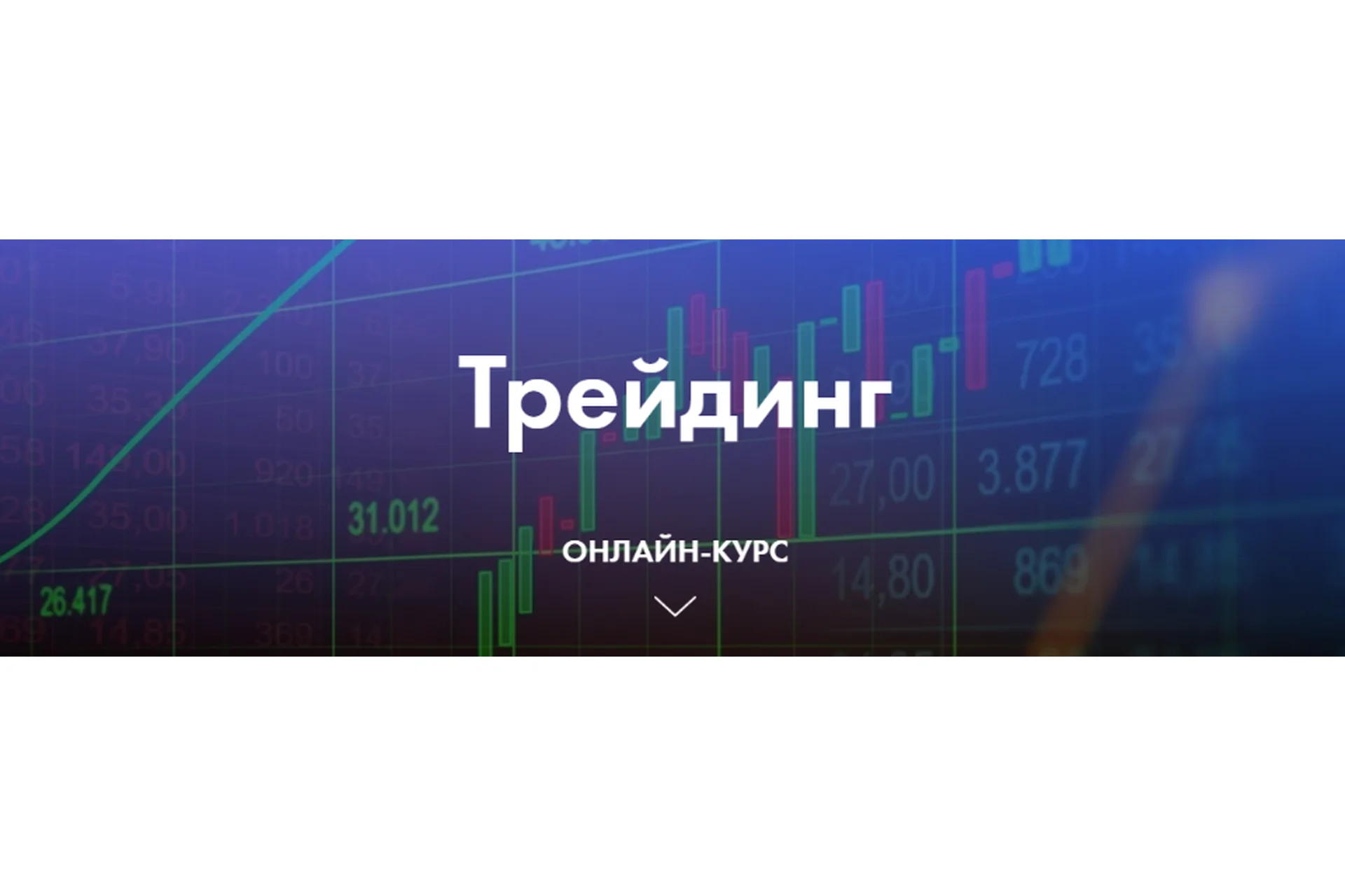 Трейдинг (Светлана Нагорная), фото 1 из 1.