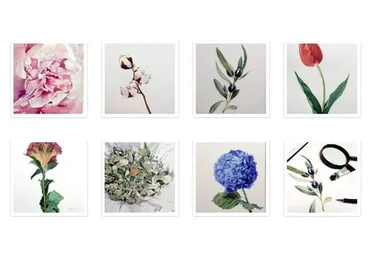 [Kalacheva School] Ботаническая иллюстрация (Вероника Калачева)