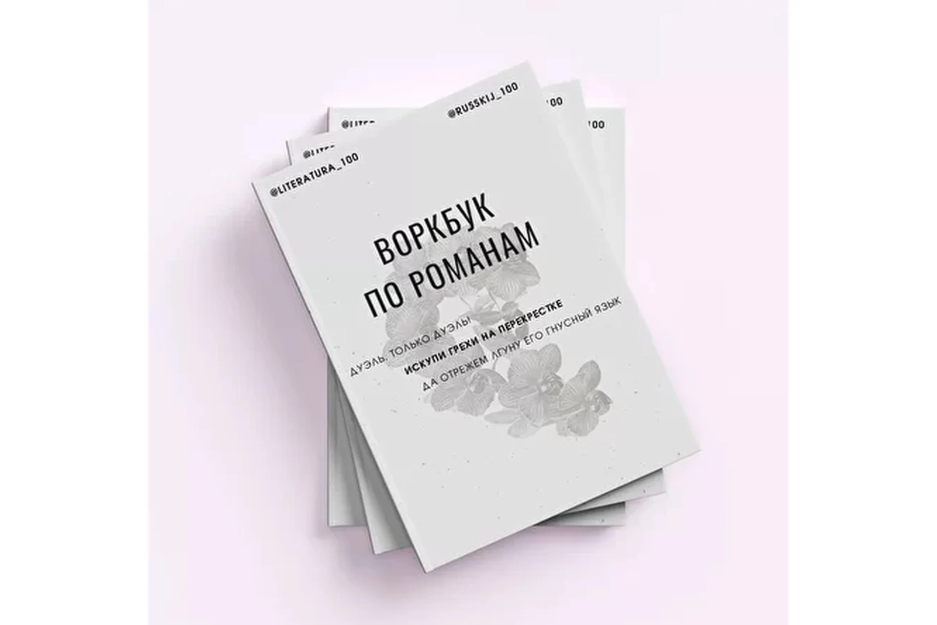 [Literatura 100] Воркбук по романам. Том 1. Программа 8-9 класса, фото 1 из 1.