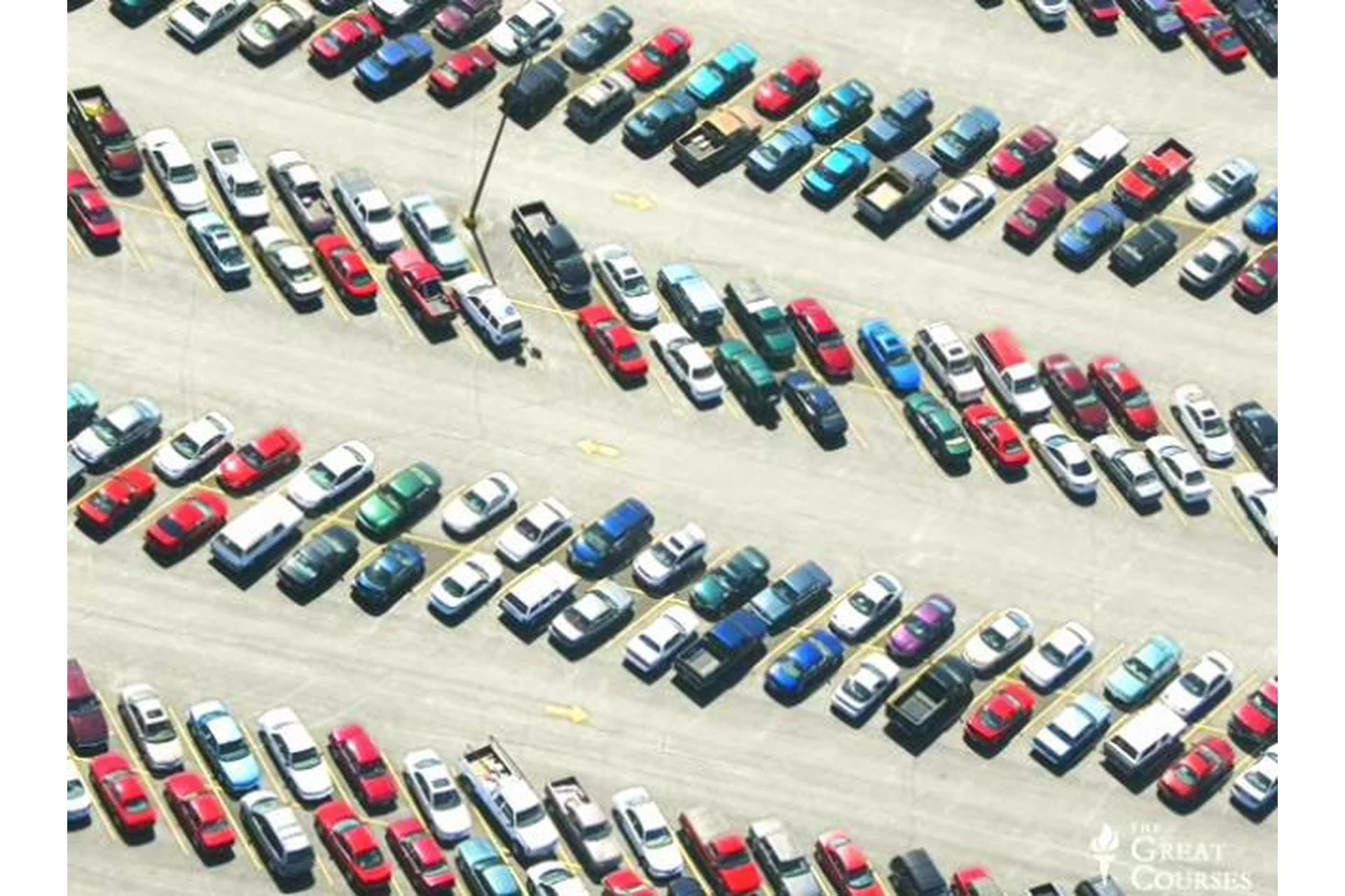 Тренировка разума. Часть 4 (Ричард Рестак), фото 1 из 1.