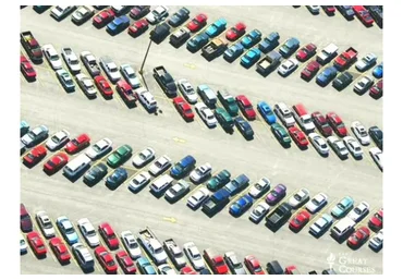 Тренировка разума. Часть 4 (Ричард Рестак)