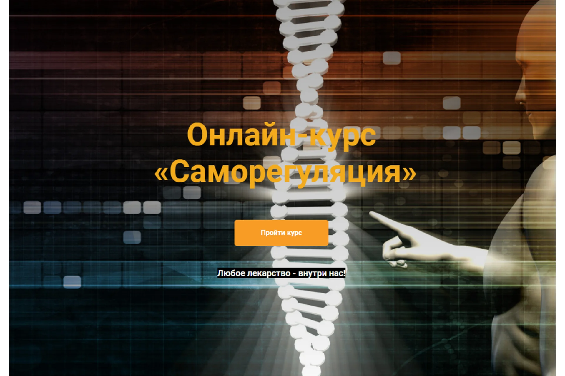 [Vorontsov studio] Саморегуляция (Роман Воронцов), фото 1 из 1.