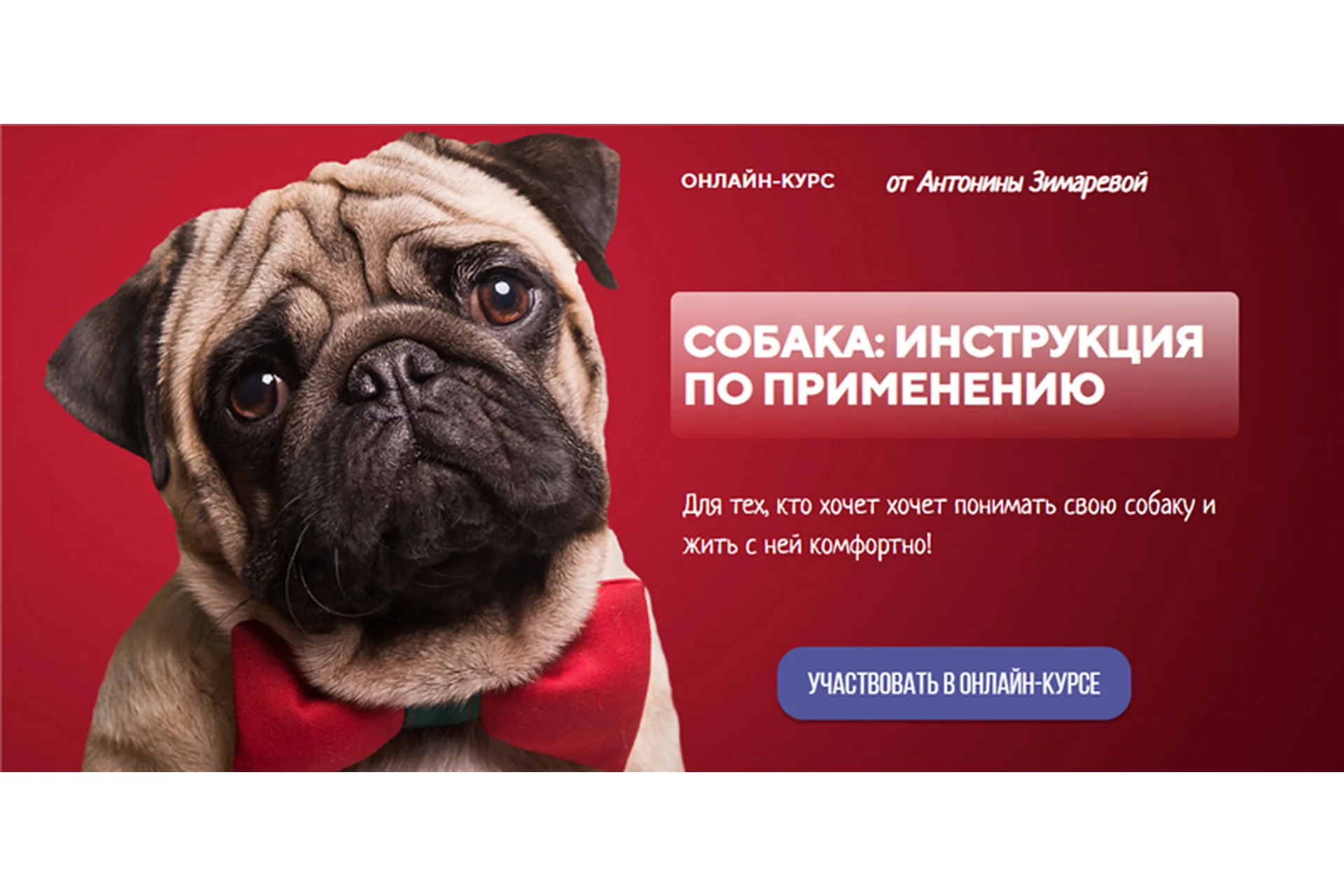 [Kinolog School] Собака: инструкция по применению. Тариф - Одинокий волк (Антонина Зимарева), фото 1 из 1.