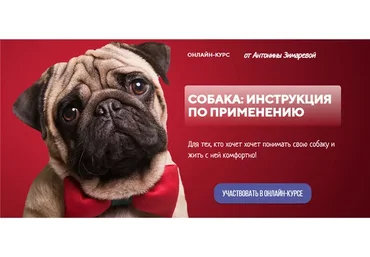 [Kinolog School] Собака: инструкция по применению. Тариф - Одинокий волк (Антонина Зимарева)