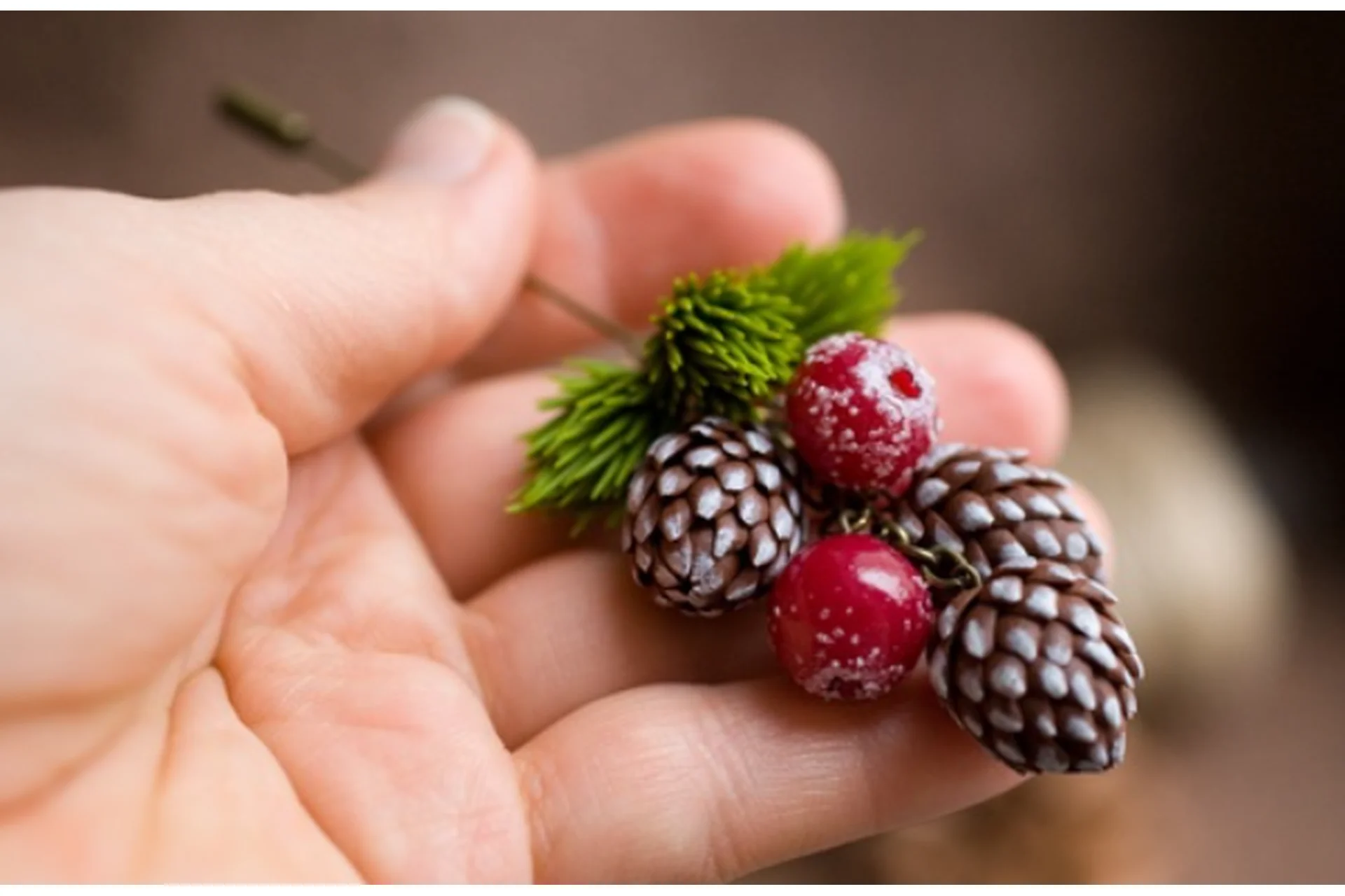 Шишки, клюква и хвоя + сборка брошки (Екатерина Килязова), фото 1 из 1.