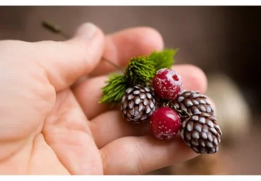 Шишки, клюква и хвоя + сборка брошки (Екатерина Килязова)