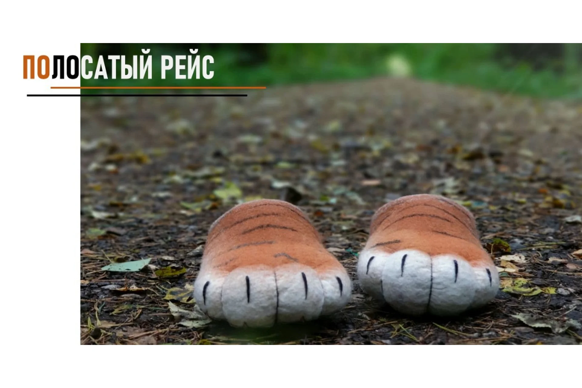 [Школа войлока онлайн] Полосатый рейс (Ольга Демьянова), фото 1 из 1.