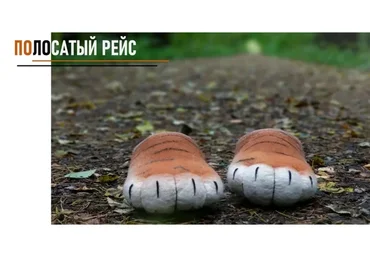 [Школа войлока онлайн] Полосатый рейс (Ольга Демьянова)