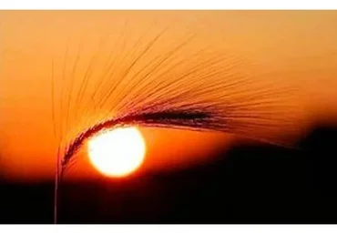 Восстановление зрения (Александр Дорошкевич)