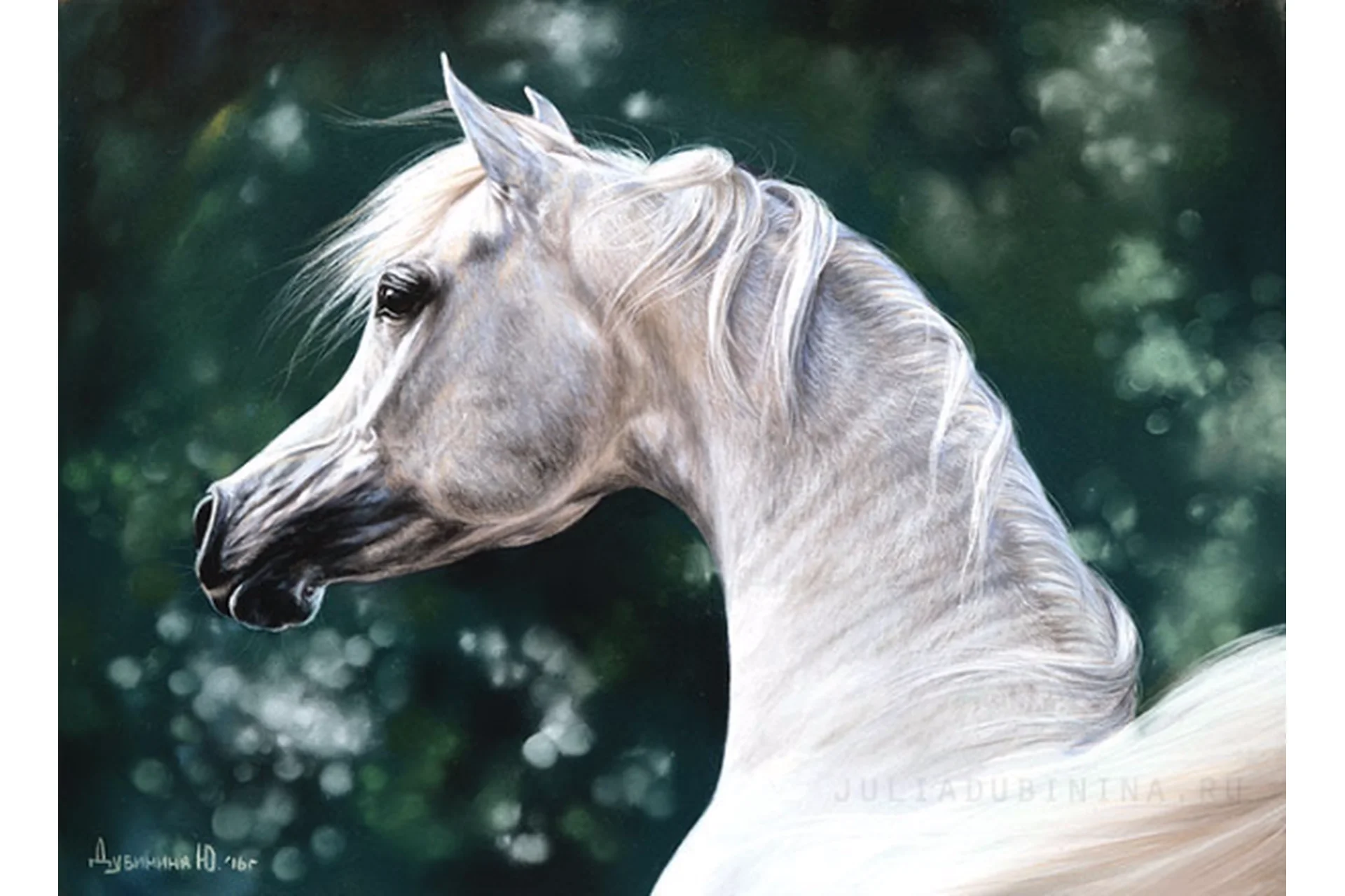 Портреты домашних животных пастелью (Юлия Дубинина), фото 1 из 1.