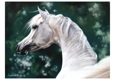 Портреты домашних животных пастелью (Юлия Дубинина)