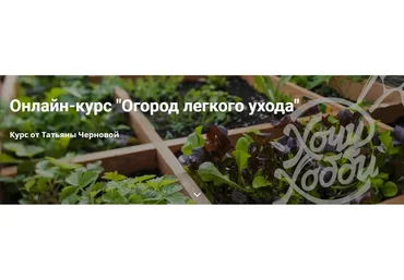 [ХочуХобби] Огород легкого ухода (Татьяна Чернова)