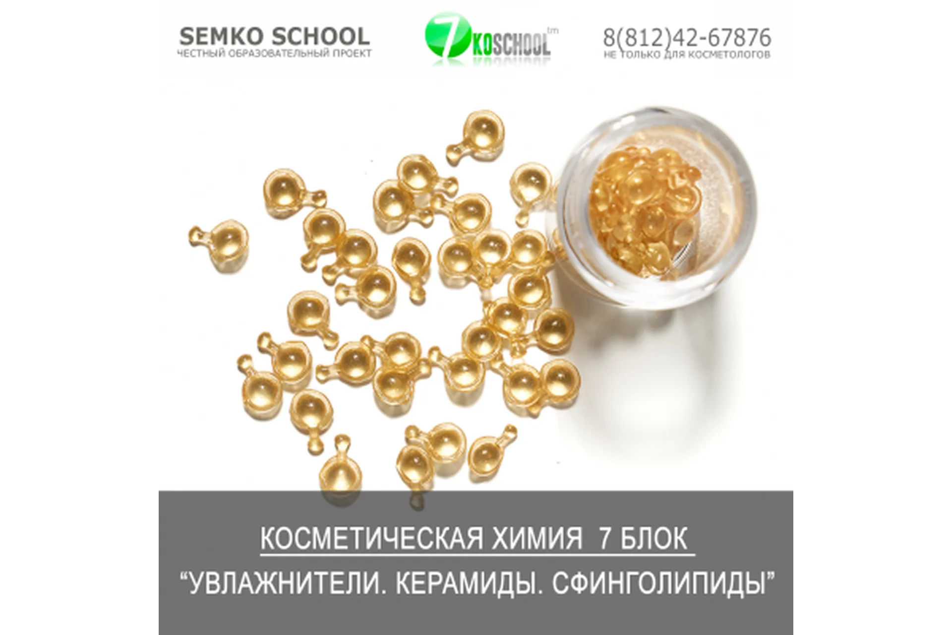 [7koschool] Косметическая химия. Блок 7 "Увлажнители. Керамиды" (Анастасия Семко), фото 1 из 1.