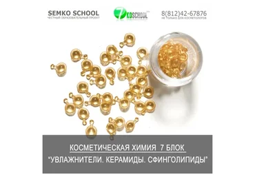 [7koschool] Косметическая химия. Блок 7 "Увлажнители. Керамиды" (Анастасия Семко)