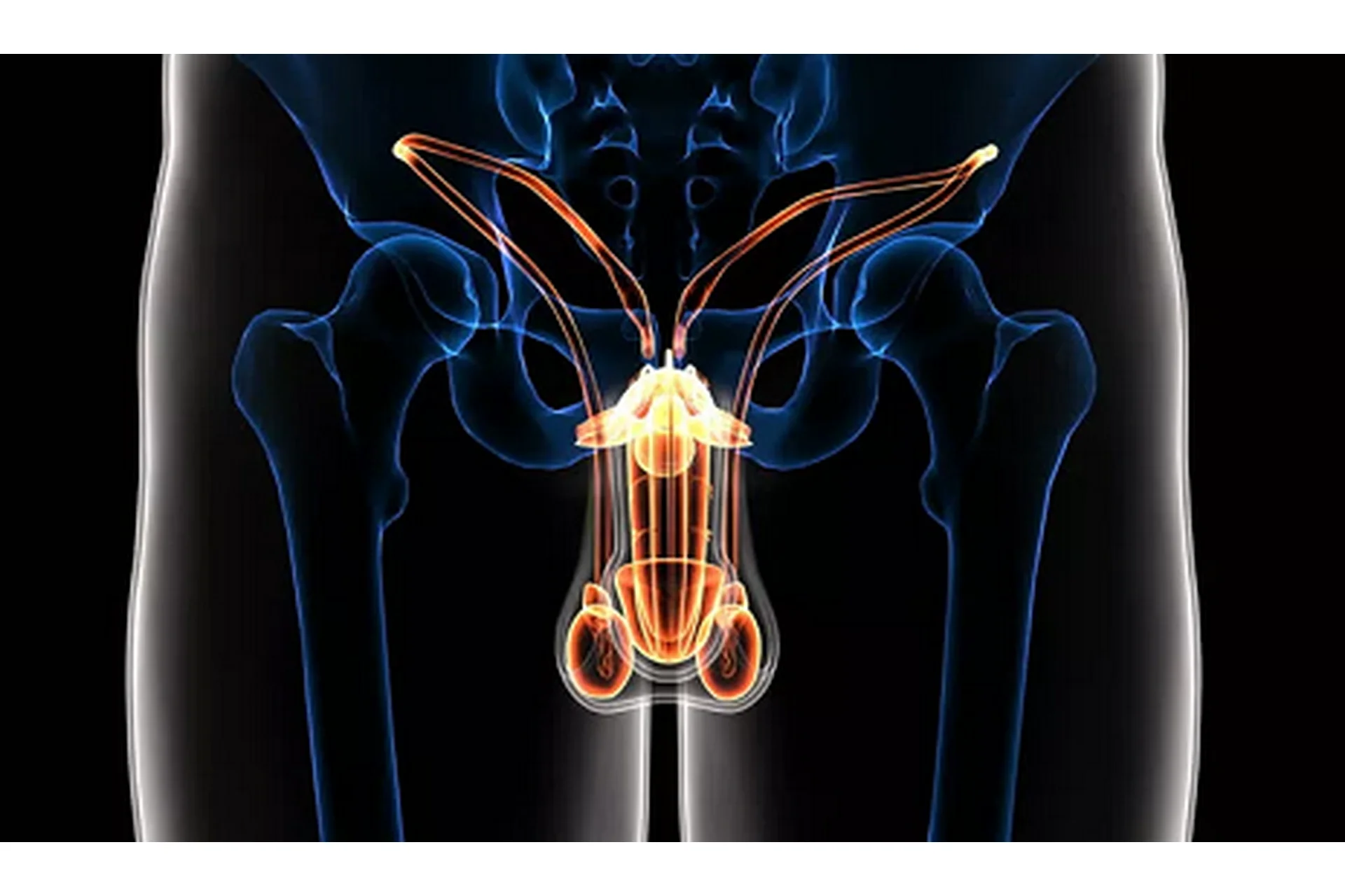 [Daoschool] Audio-Psy-модуль «Исцеление мужской половой системы», фото 1 из 1.