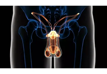 [Daoschool] Audio-Psy-модуль «Исцеление мужской половой системы»