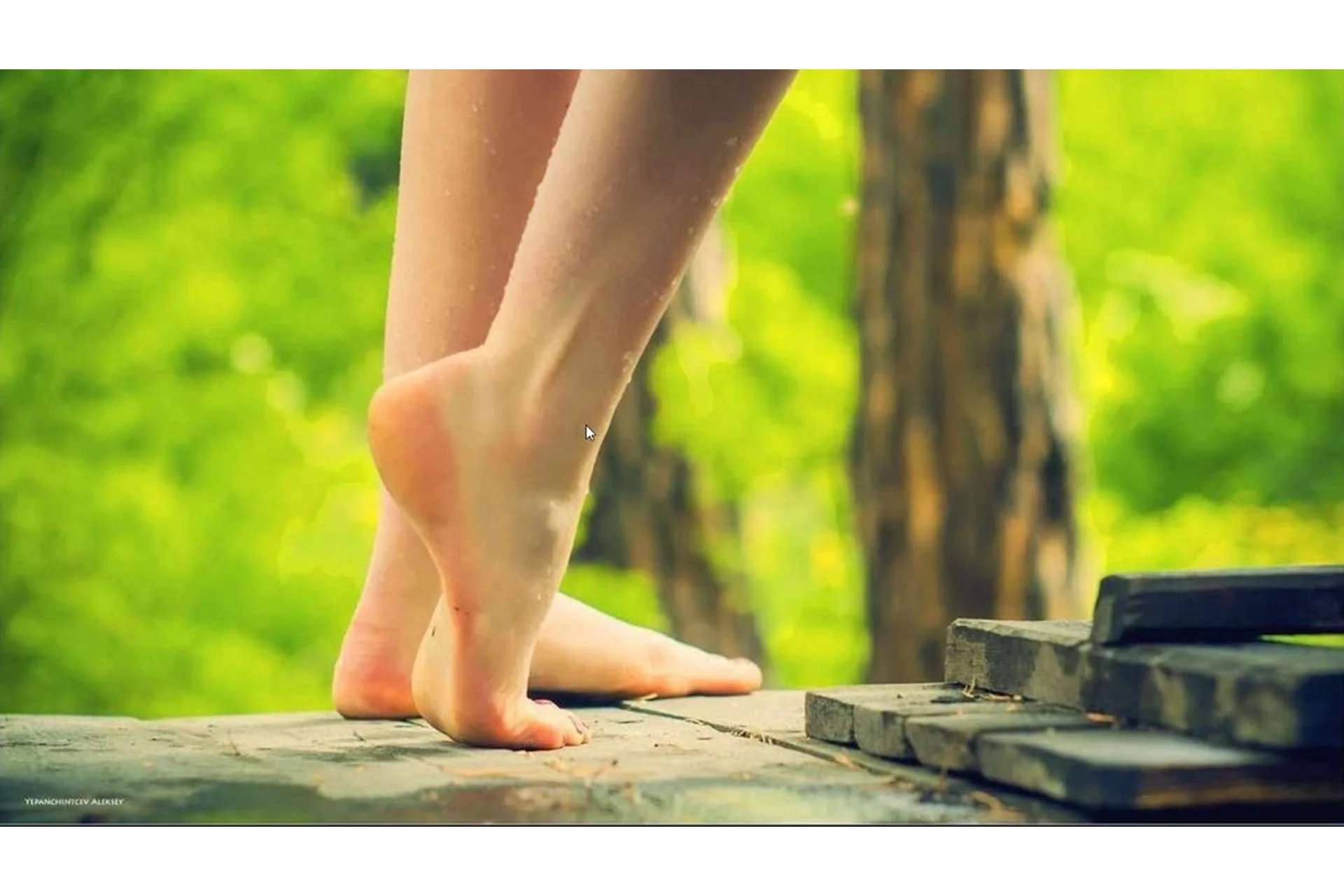 Живые стопы (Алиса Неверова), фото 1 из 1.