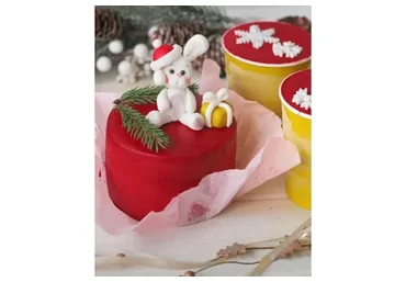 Бенто-торт Шоколадный апельсин и Cake to go (Олеся Шубина)