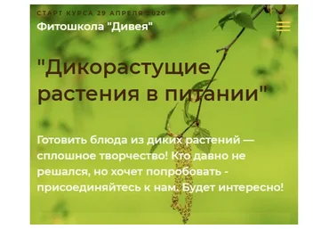 [Фитошкола «Дивея»] Дикорастущие растения в питании, стандрт  (Ольга Спиридонова, Ольга Дзюбан)