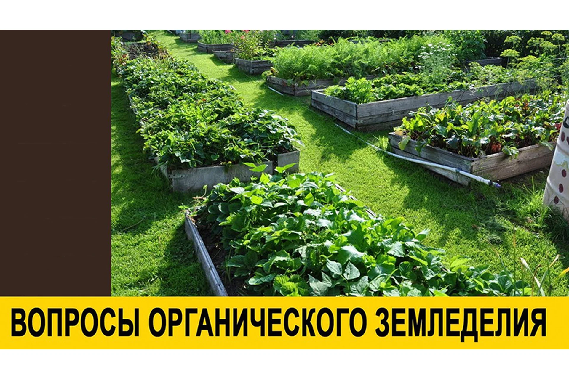 Курс по органическому земледелию, 2015, фото 1 из 1.