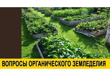 Курс по органическому земледелию, 2015