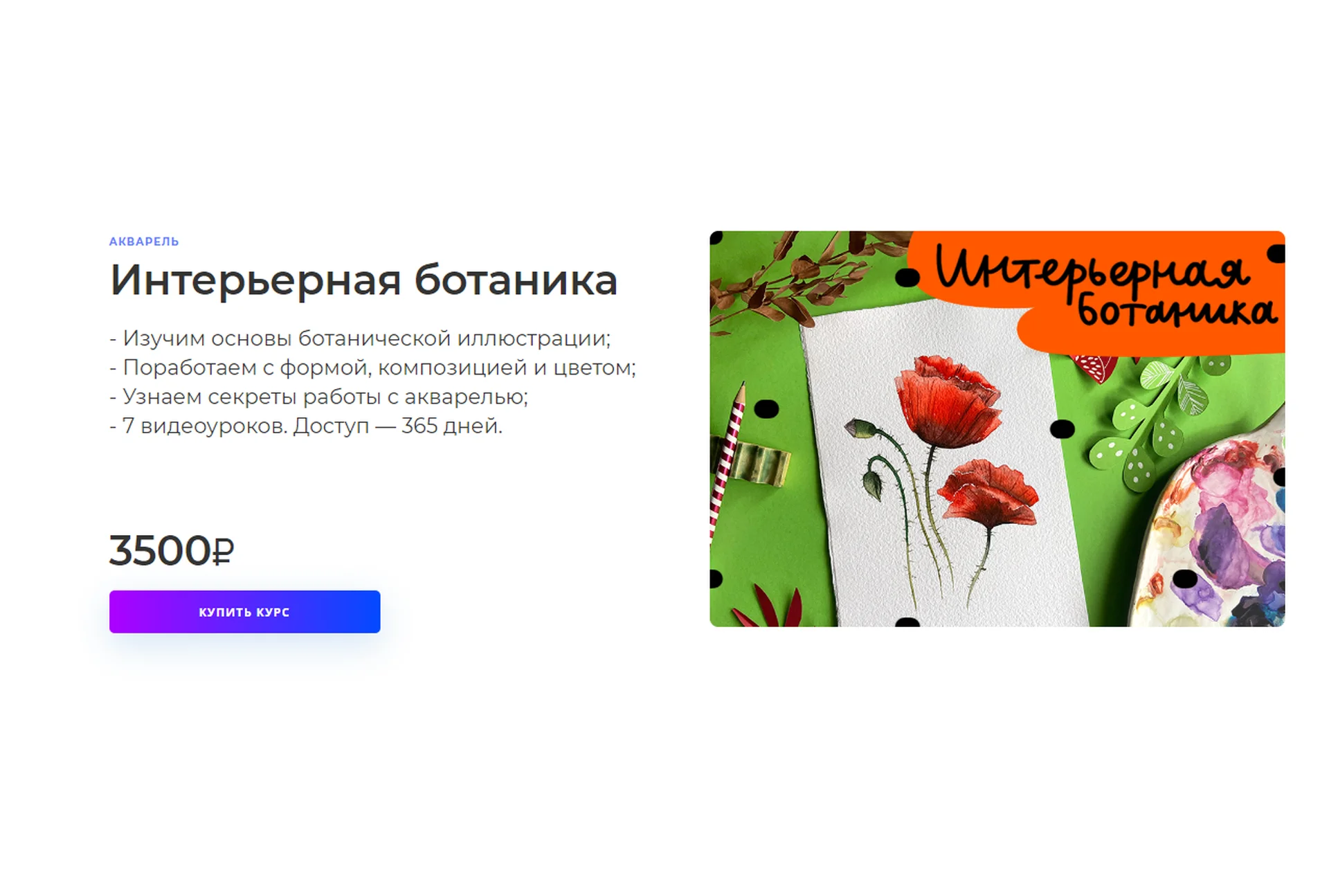 [lil School] Интерьерная ботаника (Татьяна Глама), фото 1 из 1.